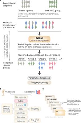 ReDisX, a machine learning approach, rationalizes rheumatoid arthritis and coronary artery disease patients uniquely upon identifying subpopulation differentiation markers from their genomic data